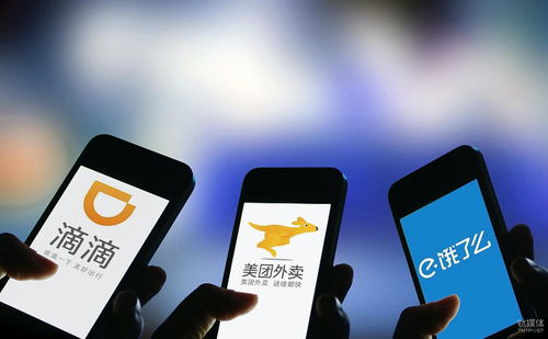 自己动手建网站卖花，真的能实现盈利吗？
