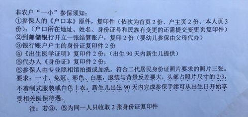 如何合法获取副业营业证明？你需要知道的办理流程与注意事项