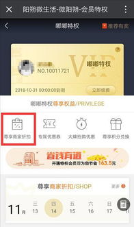 跑货拉拉与滴滴，哪个平台更能助你轻松赚钱？