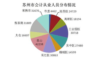 从事会计行业真的能轻松实现高收入吗？