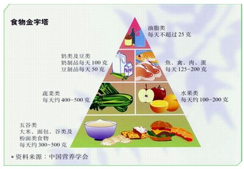 无添加食品代理加盟，这背后的健康理念你了解多少？