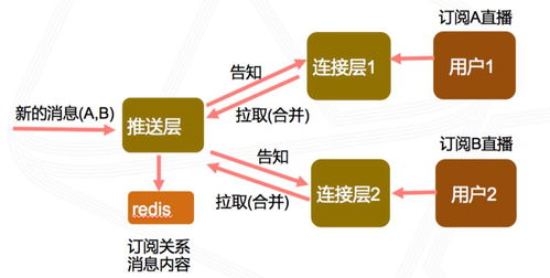 如何通过线上直播实现高效推广并赚取收益？
