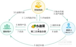 独自在家如何选择投资项目实现盈利？