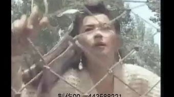 长风镖局现今是否仍具盈利能力？