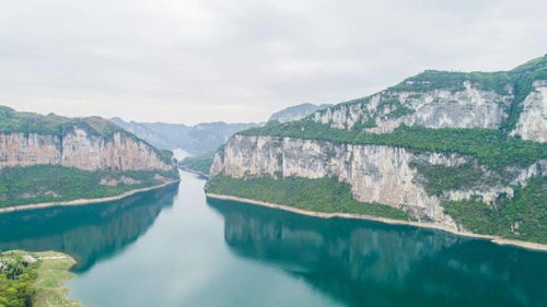 免费带你开启副业之旅，这些项目真的靠谱吗？