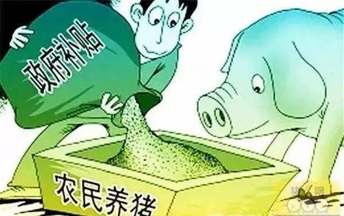 北方家庭如何选择合适的养殖副业实现增收？