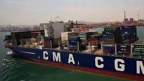 船上加工哪类产品利润最高？探寻海上赚钱之道