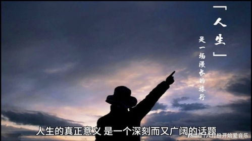 人生的意义难道仅在于追逐金钱吗？