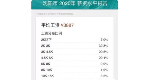 在沈阳，从事哪些行业更容易实现高收入？