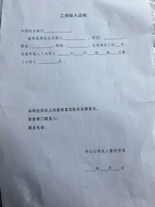 怎样有效证明自己工作收入偏低？合理争取权益的方法有哪些？