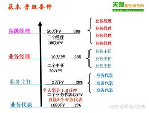 如何在国外销售产品并获得盈利？
