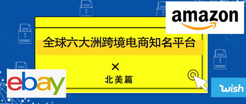 亚马逊平台上哪类产品最具盈利潜力？