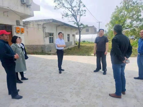 在当前乡镇环境下，哪些生意项目更具盈利潜力？