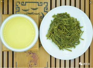 茶叶价格高昂，茶农却难盈利？探访信阳毛尖产地，探寻名茶背后真相