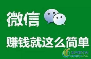 是否存在只需打字即可赚钱的手机应用？
