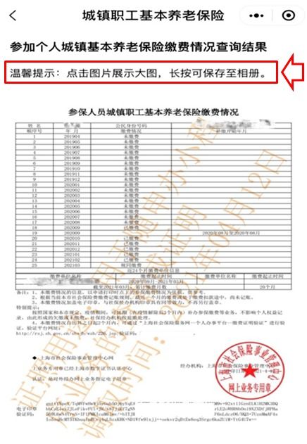 如何查询单位缴纳的社保？详细步骤指南