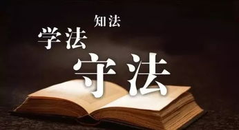 微商经营是否触及法律红线？带你深入了解合规之道