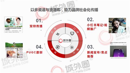 迷你动物园如何实现盈利模式？经营策略大解析
