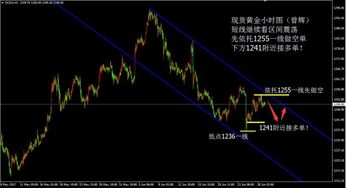 黄金原油长线投资能否稳定盈利？真相深度剖析