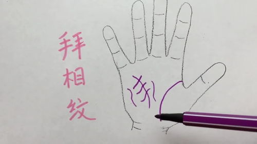 纹雕究竟是什么？它的含义又该如何理解？