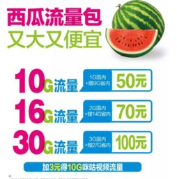 如何在西瓜视频利用流量实现盈利？