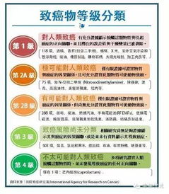 在贵阳拍摄哪种类型的影视剧最有可能盈利？