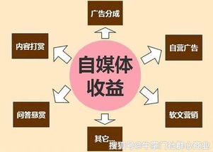 哪些自媒体从业者收入较低，你知道吗？