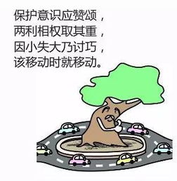 农村大叔为何选择养毒蛇来赚钱？安全吗？