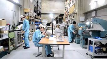 这家工厂除了主业外，还涉足哪些副业领域？