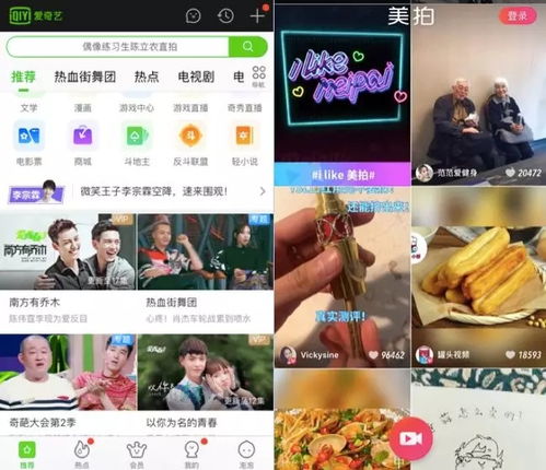 宠物视频播放如何实现盈利？探索赚钱之道