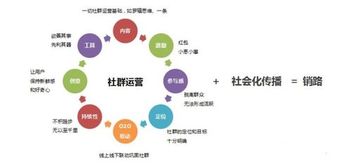 如何巧妙选择火星实现精准引流？高效引流的策略又有哪些？