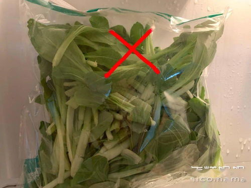 过年期间囤哪些菜能赚钱？