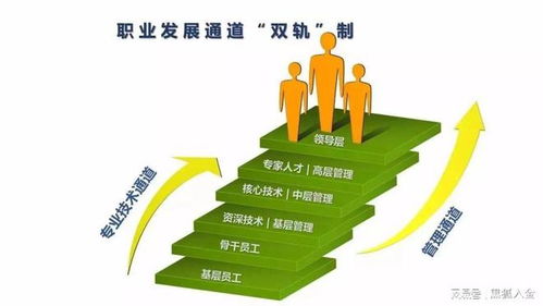 如何在大学期间实现经济独立？探索适合学生的副业选择