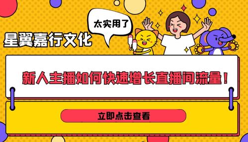 直播新手如何快速提升流量并实现盈利？