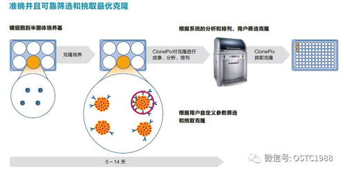 如何高效筛选与评估副业项目信息？全面指南解析