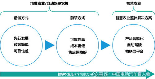 农业领域哪些生意最具盈利潜力？如何选择高回报项目？