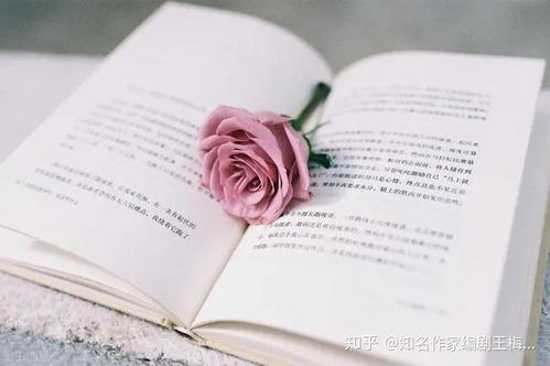 如何将副业融入唐诗小说创作，打造独特原创故事？