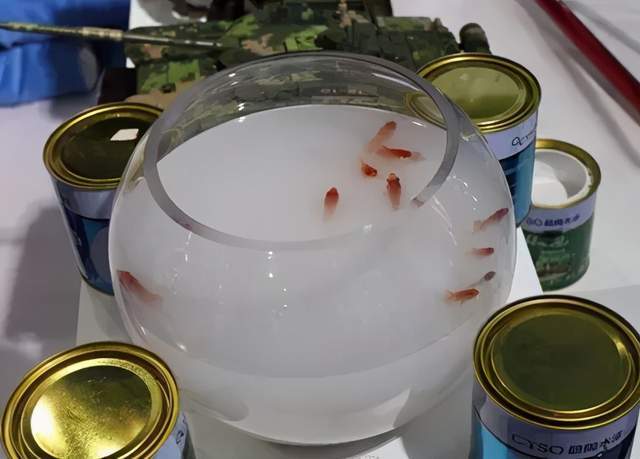 选择代理晨阳水漆，真的能带来可观的收入吗？