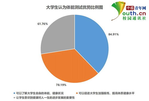 如何通过球类项目实现高效盈利？