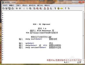VIM编辑器如何助你实现高效变现？