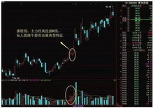 谁能在股市中获利？揭开赚钱人群的特质与策略