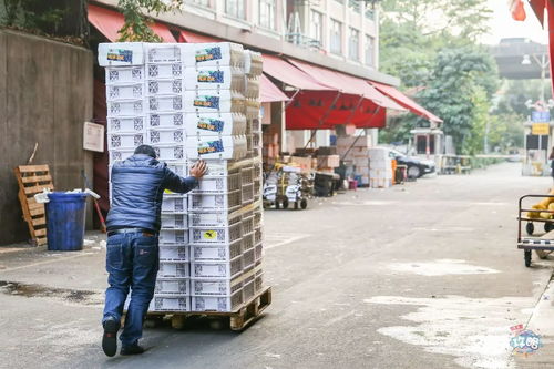 广州有哪些知名批发市场？一网打尽广州批发市场全攻略