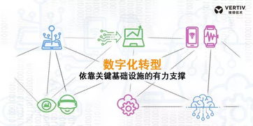 如何制定有效的副业营销策略？成功转型的关键步骤是什么？