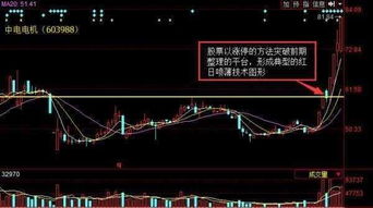 短期内哪些股票最具盈利潜力？投资风向标解析