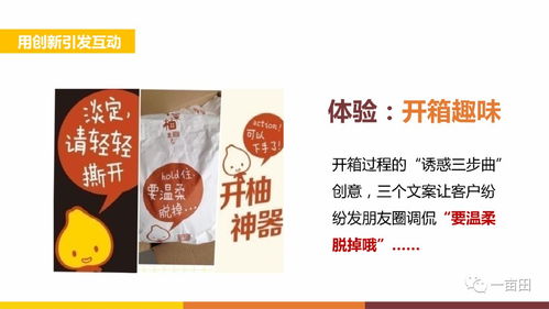如何打造独特风味？副业果茶包制作秘诀大公开！