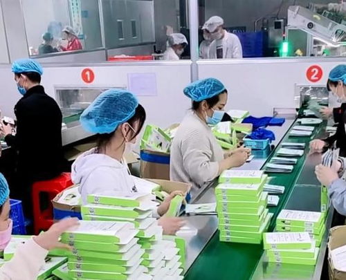为何越来越多的人选择外出打工以增加收入？