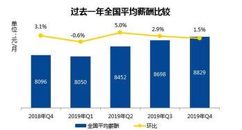 在上海宝山，从事哪些行业更容易实现高收入？