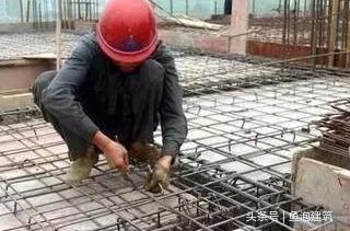 建筑工地旁种什么作物收益最高？包工头的致富秘诀是什么？