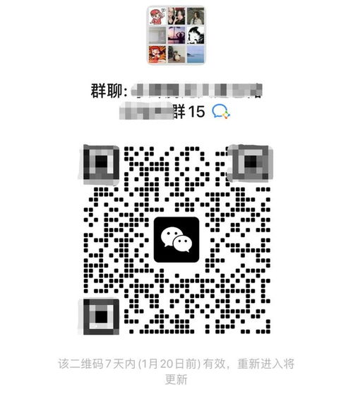 如何加入拼多多助力群聊？获取二维码的途径有哪些？
