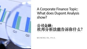 什么样的财产才能真正帮你实现财富增长？